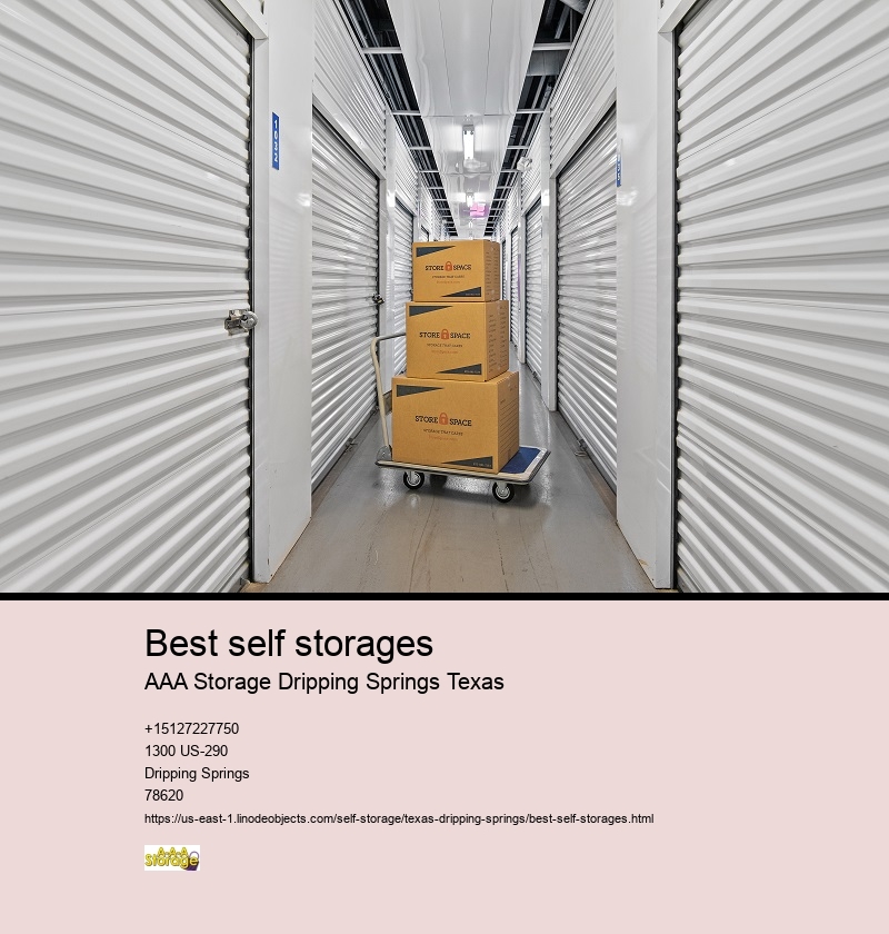 climate controlled storage units near Dripping Springs