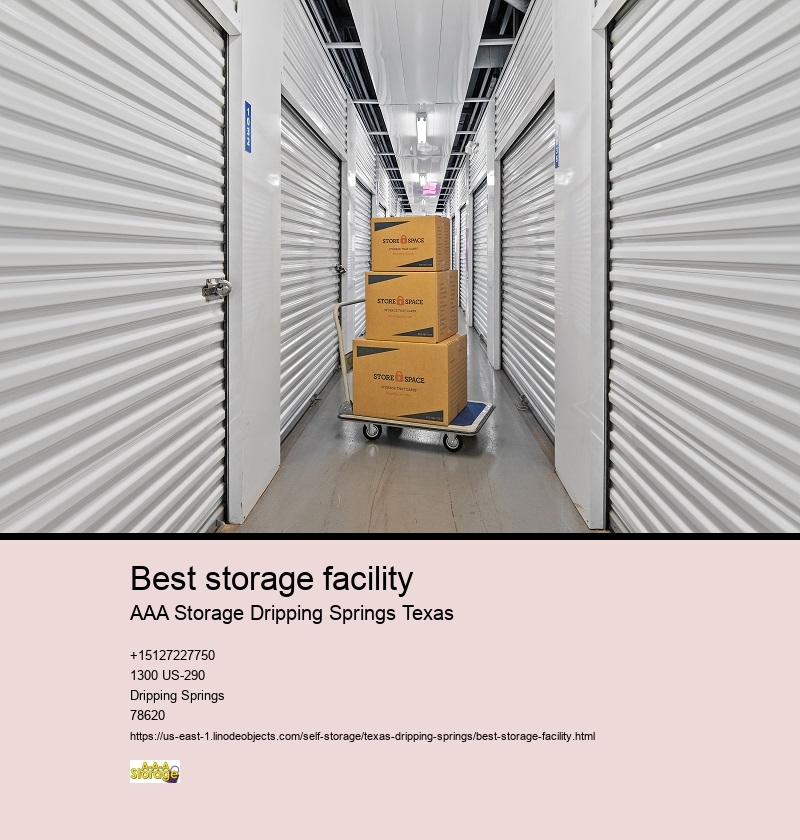 auto storage near Dripping Springs