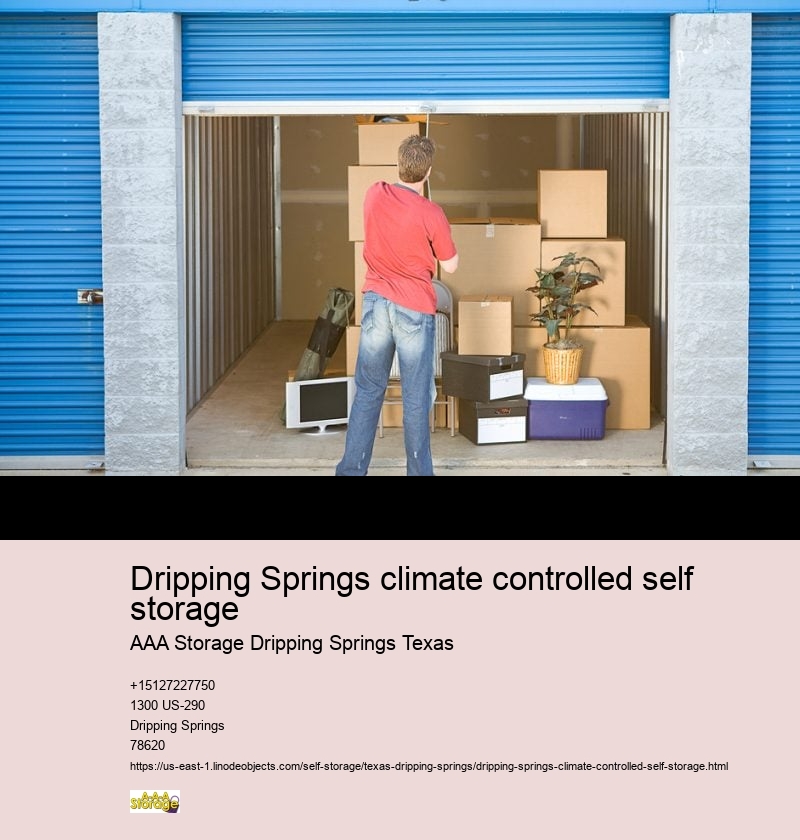 vehicle self storage Dripping Springs