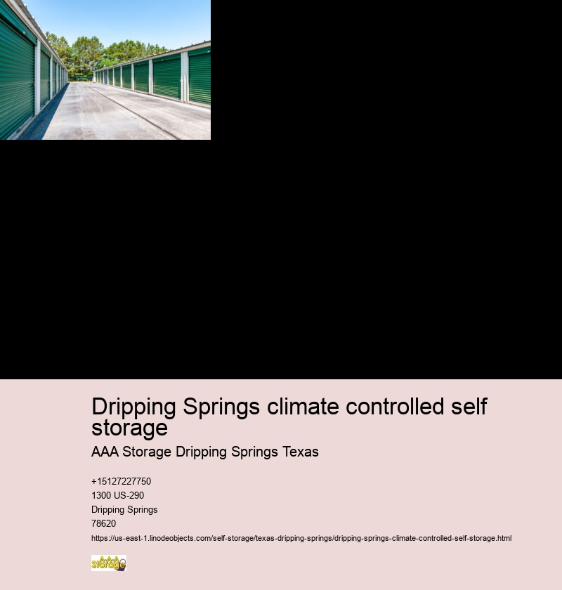 storage units Dripping Springs