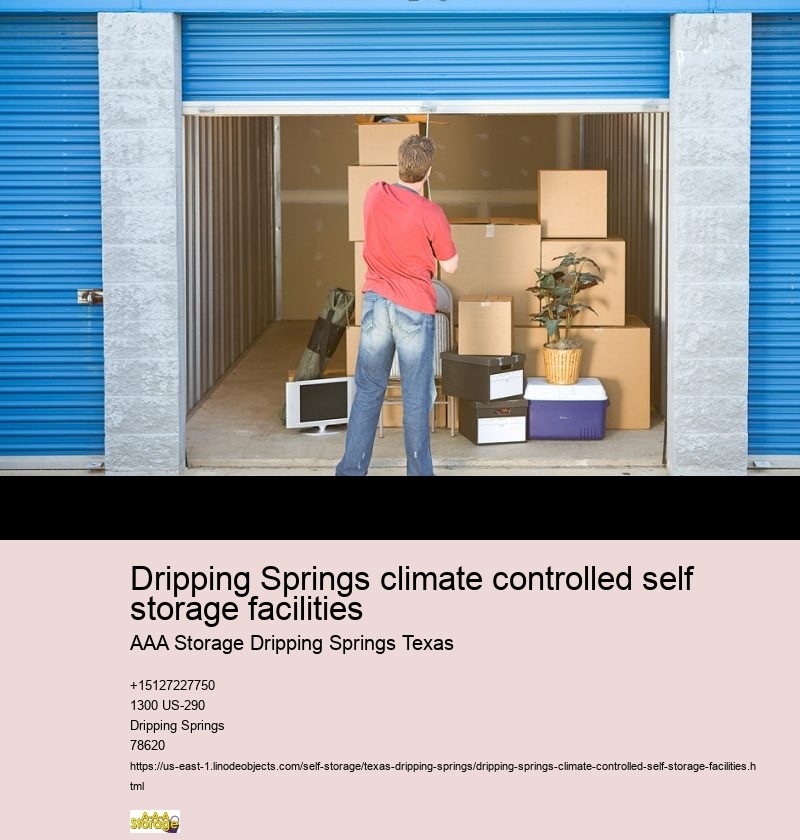 climate controlled storage facilities near Dripping Springs
