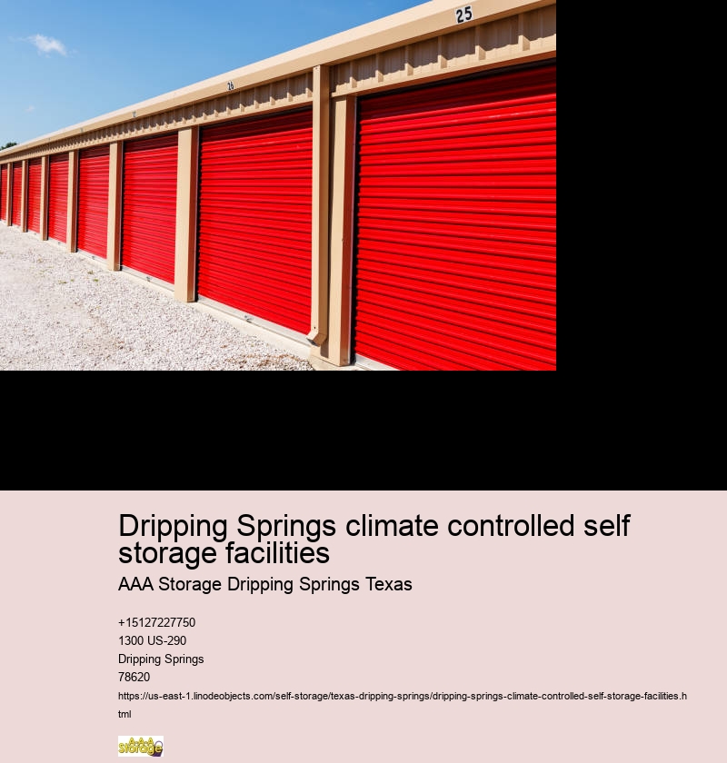 drive-up self storage unit near Dripping Springs