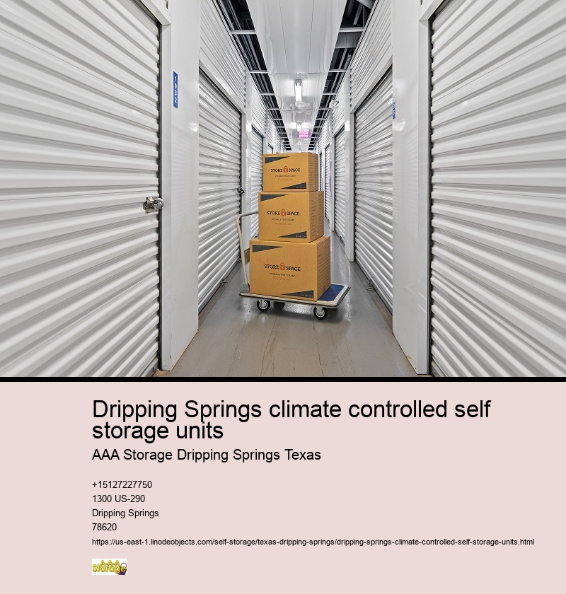 climate controlled self storage units near me