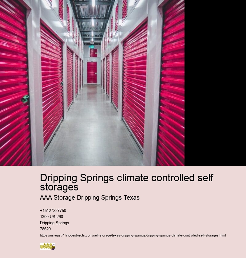 climate controlled self storage near Dripping Springs