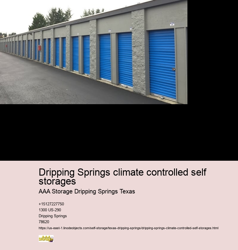 drive-up self storage facilities near Dripping Springs