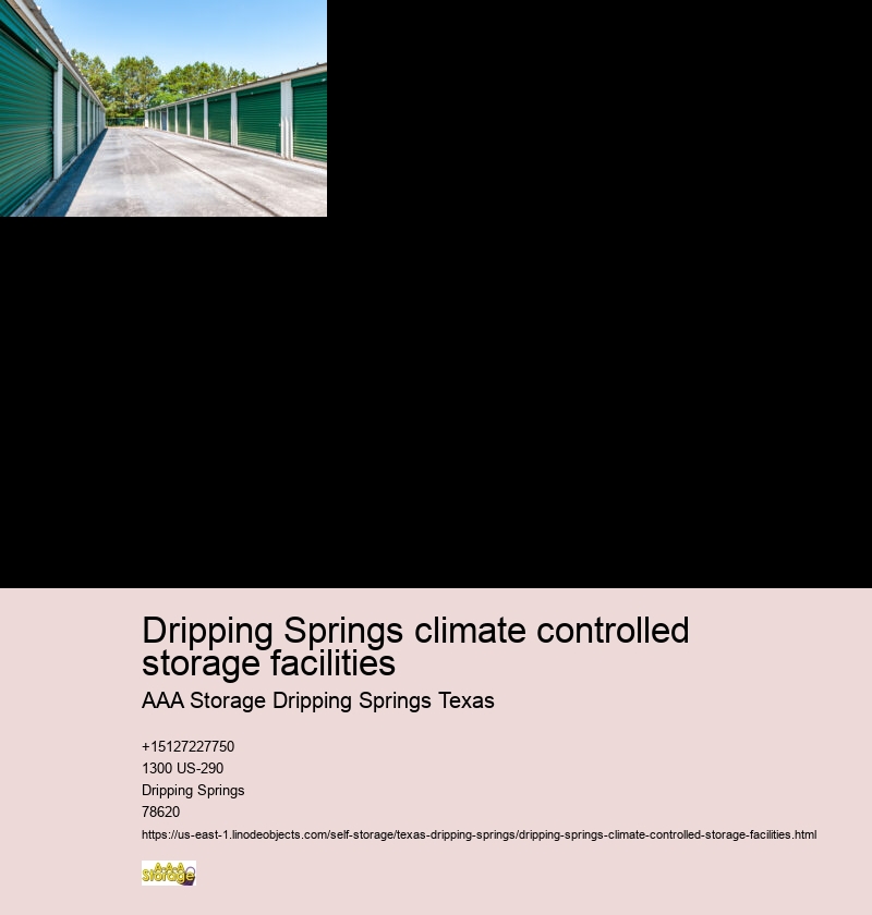 self storage facility Dripping Springs
