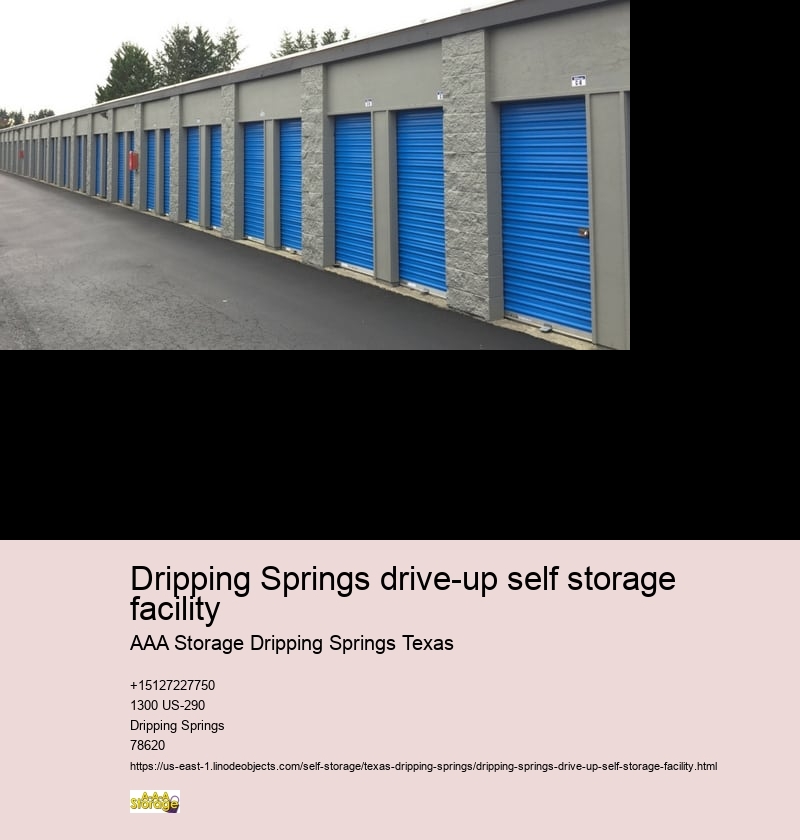 climate controlled self storage facilities Dripping Springs