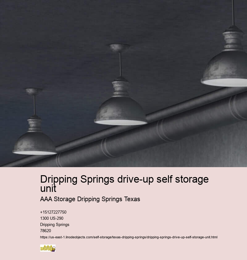climate controlled storage facilities Dripping Springs