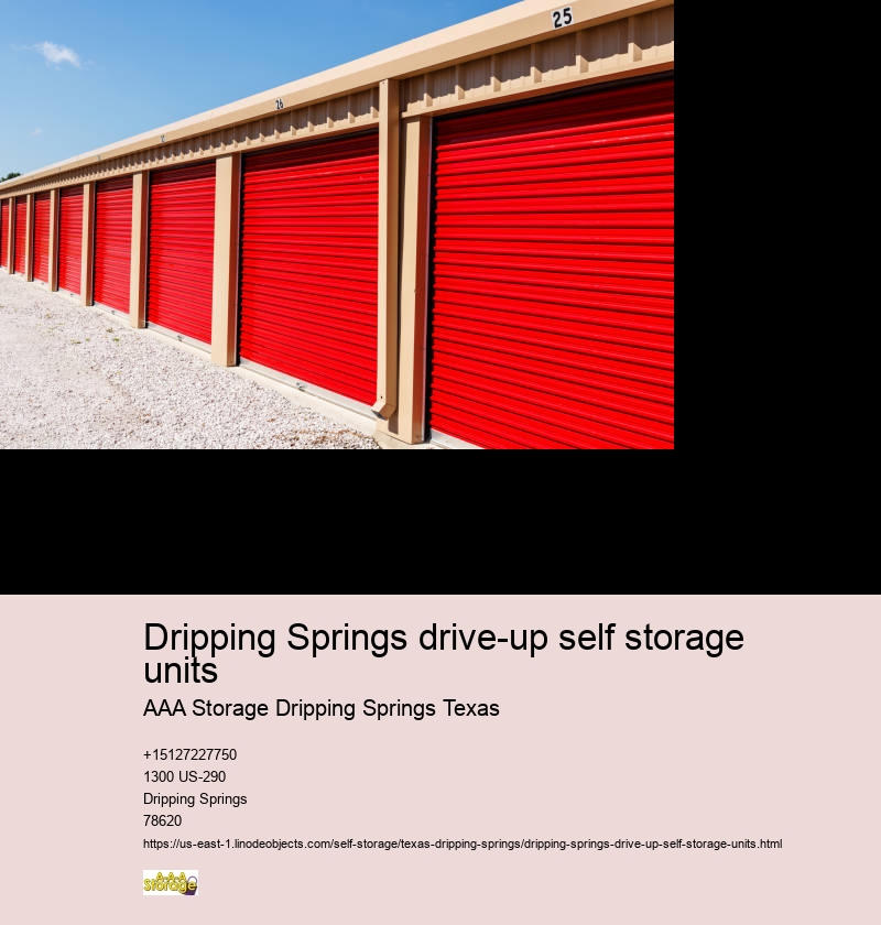 climate controlled self storages Dripping Springs