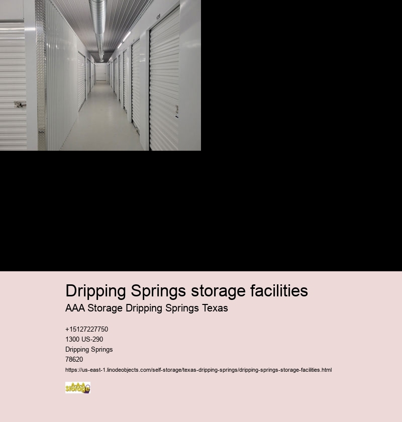 climate controlled storage units near Dripping Springs