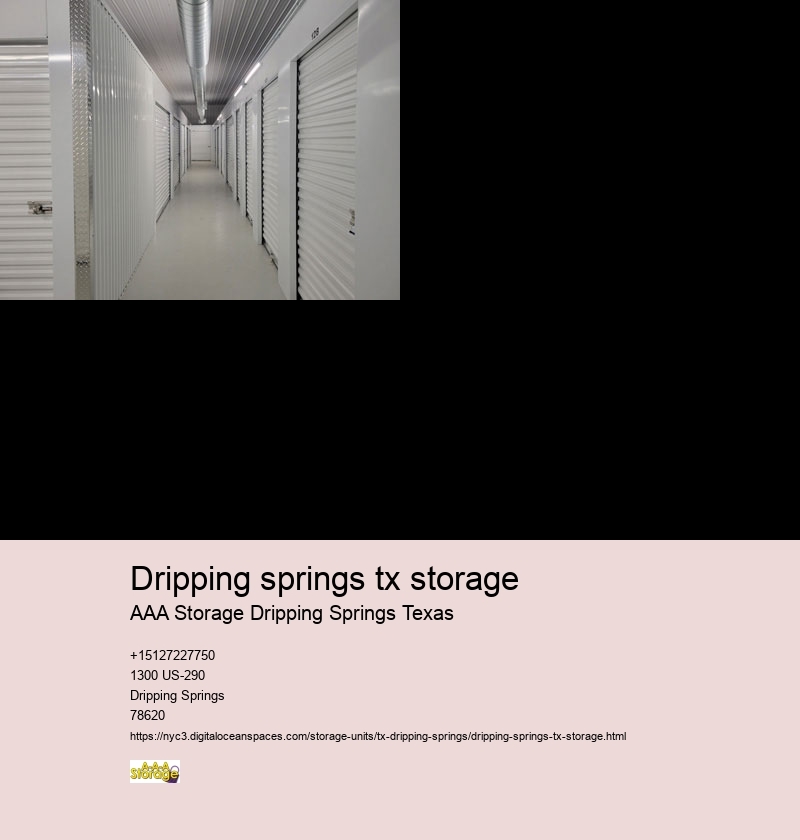 climate controlled self storage Dripping Springs