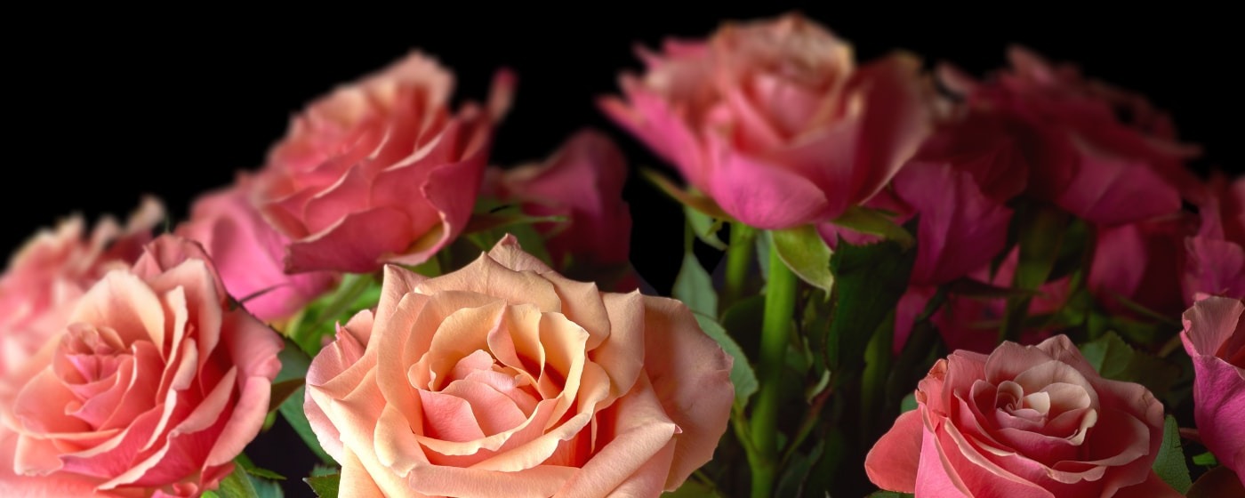 Florist LaSalle QC - Flower Delivery