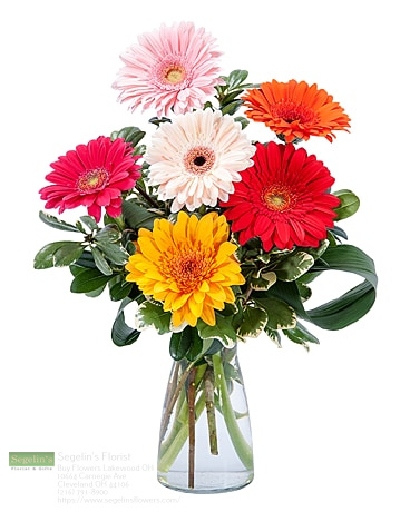 Sympathy Flowers