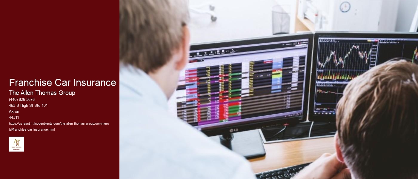 Franchise Car Insurance