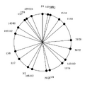 Thumbnail for version as of 08:17, 11 March 2026