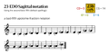 Thumbnail for version as of 01:19, 16 December 2024