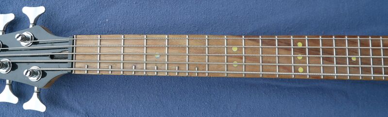 File:Bass fretlets.jpg