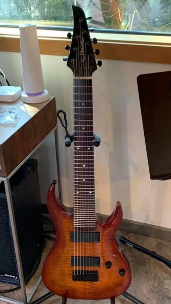 File:Caleb's Kite guitar.jpg