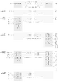 Thumbnail for version as of 21:39, 24 June 2021