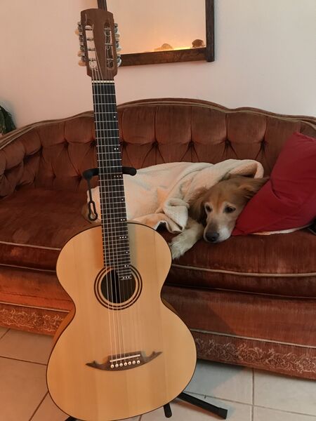 File:Richie's Doff guitar.jpg