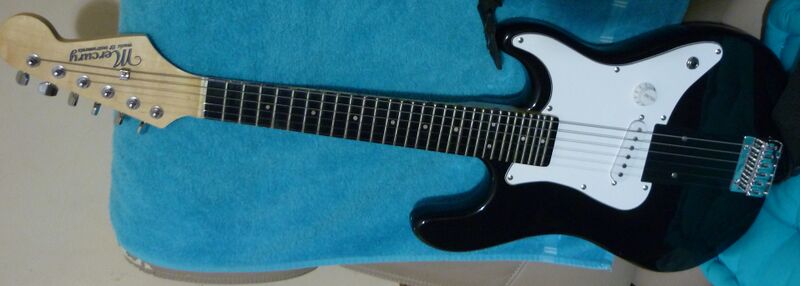 Icositriphonic Gitar 1.JPG