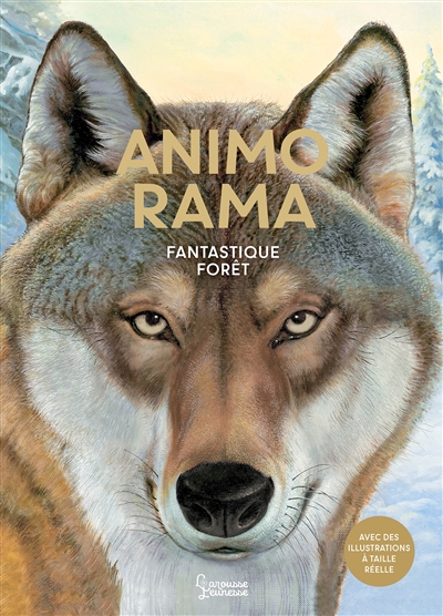 couverture : 9782036078383