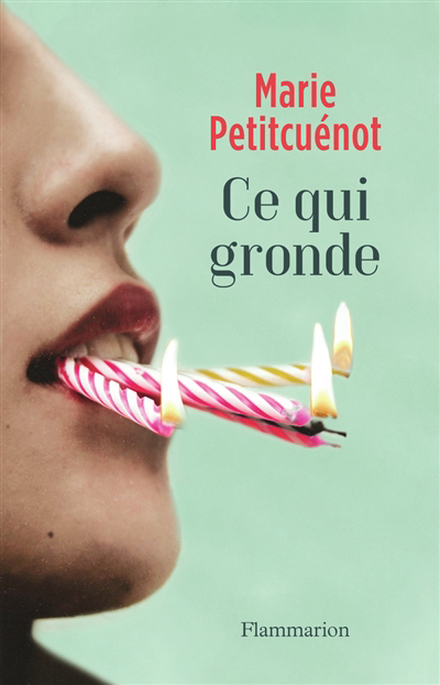 couverture : 9782080252159