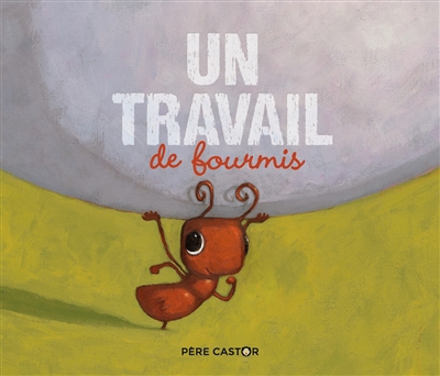 couverture : 9782081480285