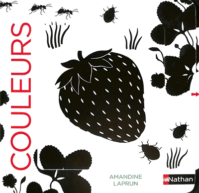 couverture : 9782095013844