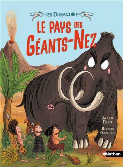 couverture : 9782095066277