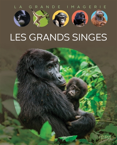 couverture : 9782215194347