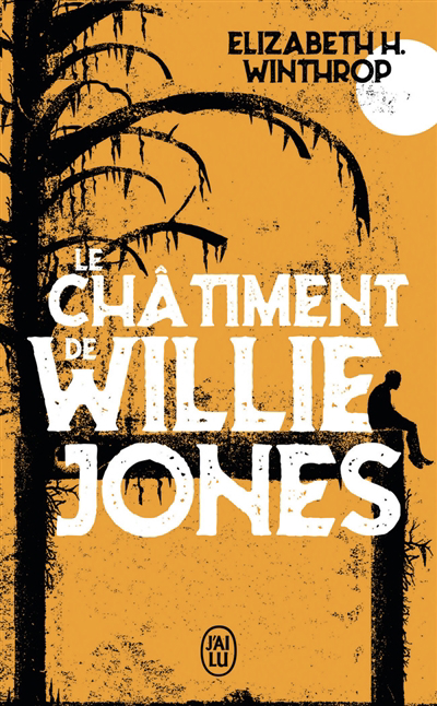 couverture : 9782290226711