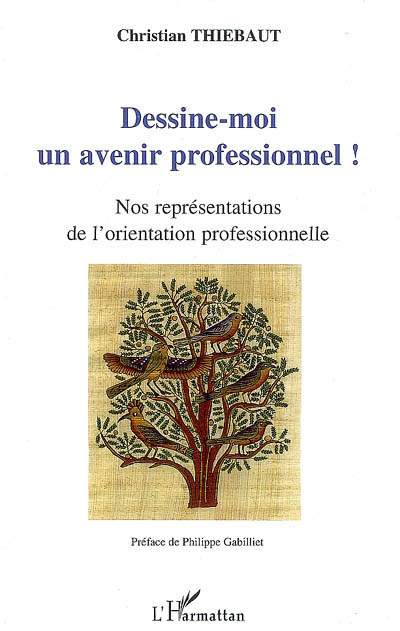 couverture : 9782296074279