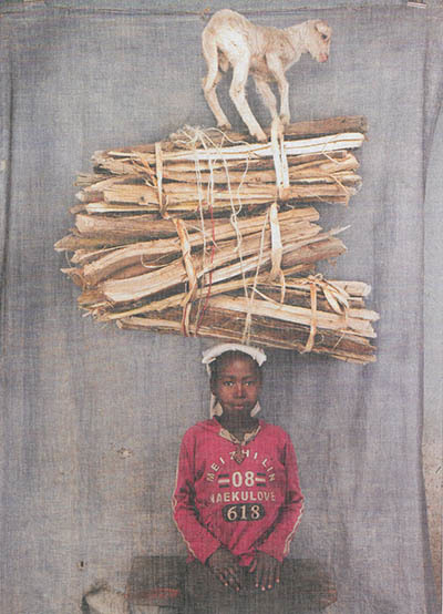 couverture : 9782350463148