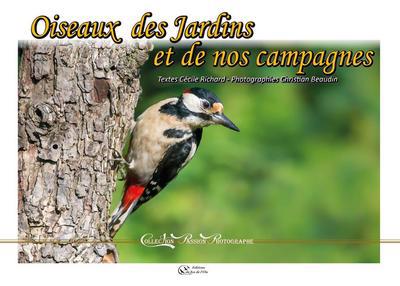 couverture : 9782368310489