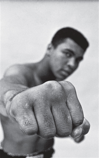 couverture : 9782501133937