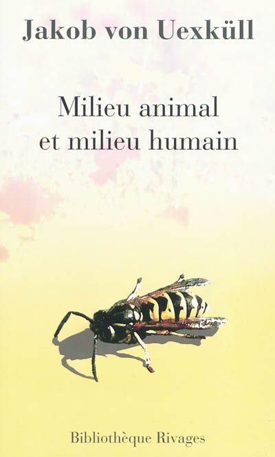couverture : 9782743620813