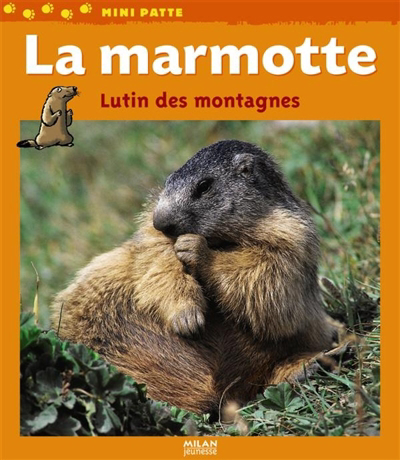 couverture : 9782745927118