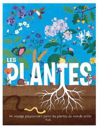 couverture : 9782753077805