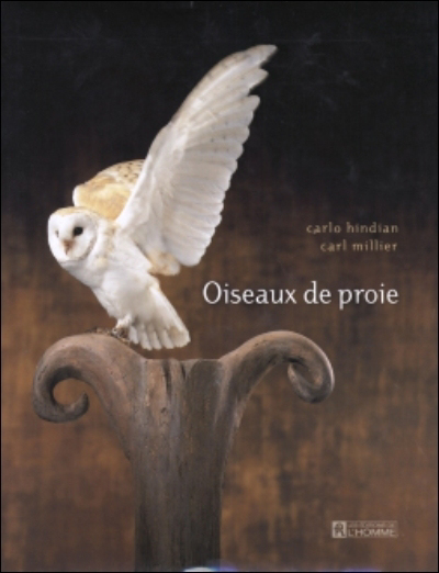 couverture : 9782761919081