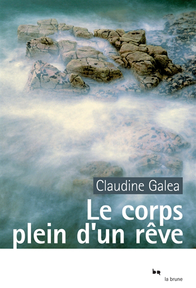 couverture : 9782812602085