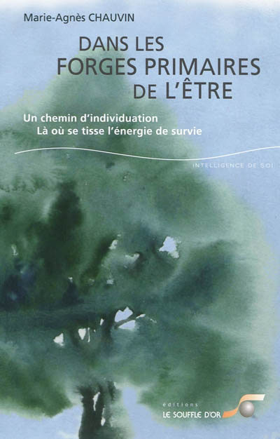 couverture : 9782840584278