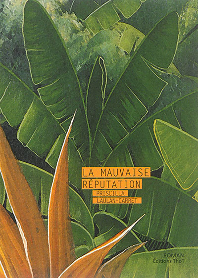 couverture : 9782849213445