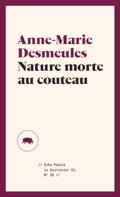 couverture : 9782896987351