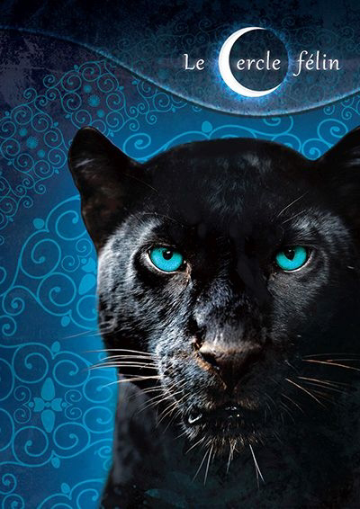 couverture : 9782897520304