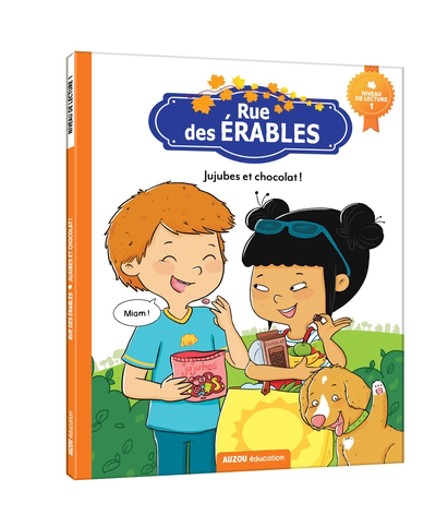 couverture : 9782898241307