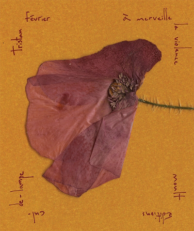 couverture : 9782924039366